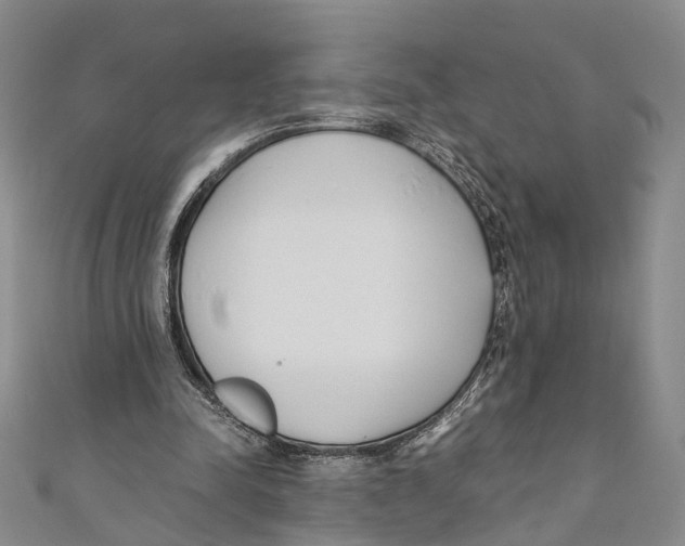 X0000110670342200907101111