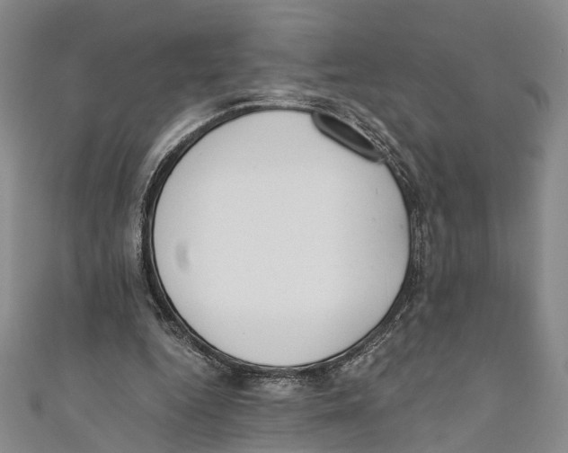 X0000110670344200907101111