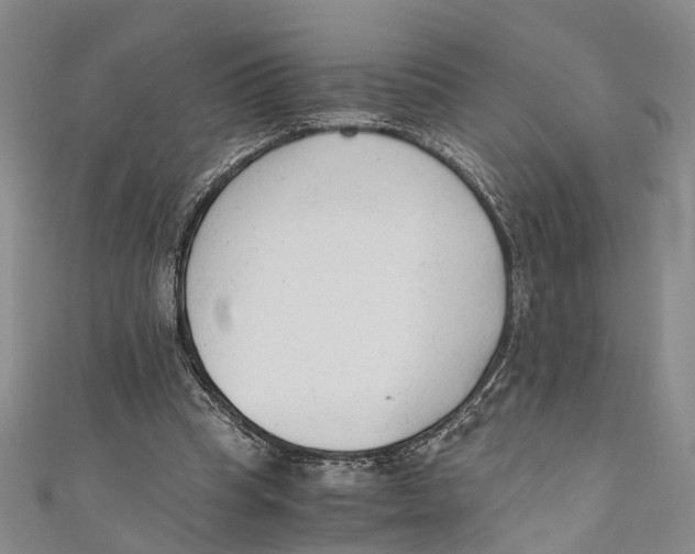 X0000110670345200907101111