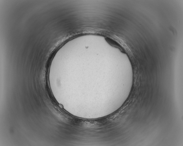 X0000110670346200907101111