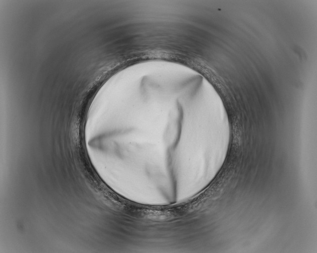 X0000110670347200907101111