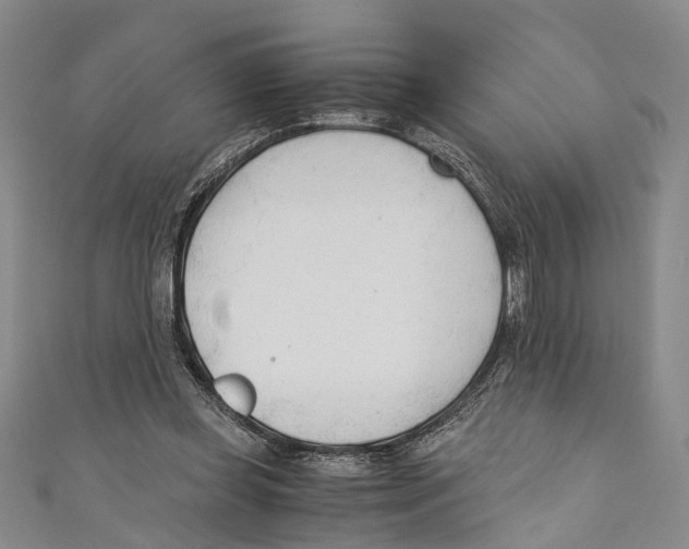 X0000110670349200907101111