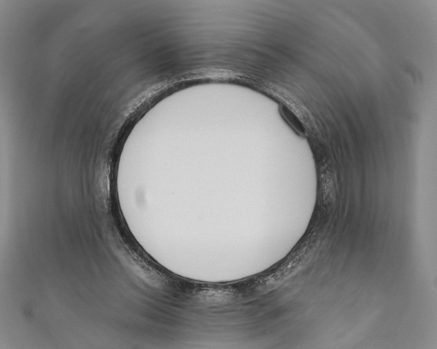 X0000110670350200907101111