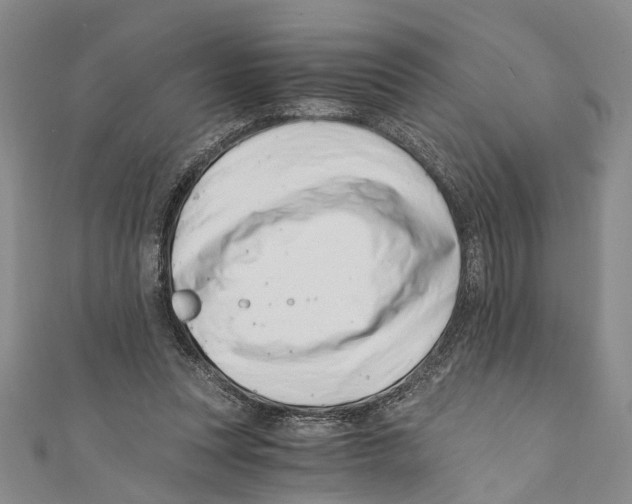 X0000110670351200907101111