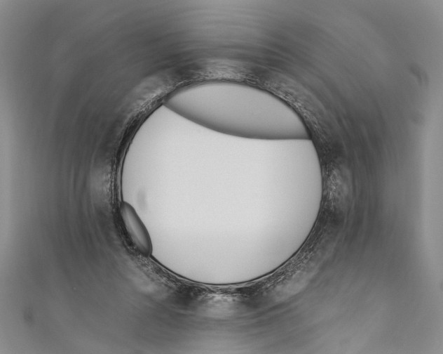 X0000110670352200907101111