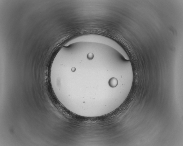 X0000110670356200907101111