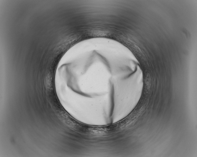 X0000110670359200907101111