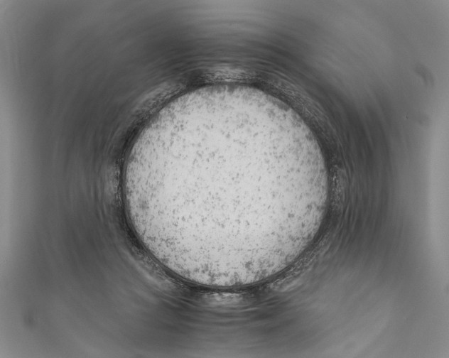X0000110670361200907101111