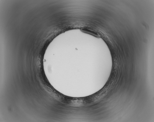 X0000110670362200907101111
