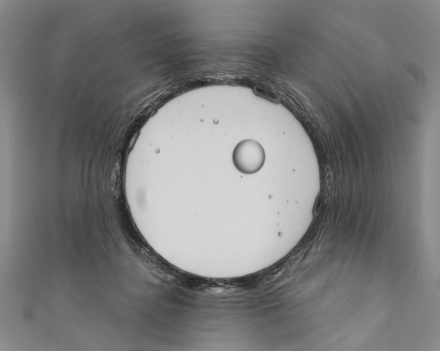 X0000110670364200907101111