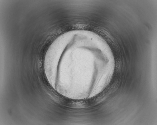 X0000110670365200907101111