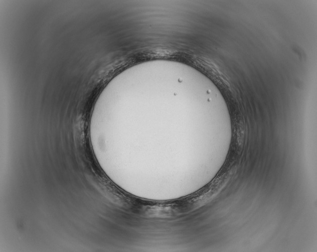 X0000110670366200907101111