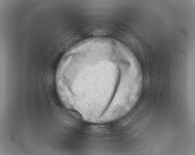 X0000110670367200907101111