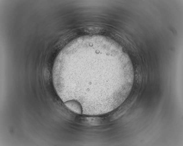 X0000110670371200907101111