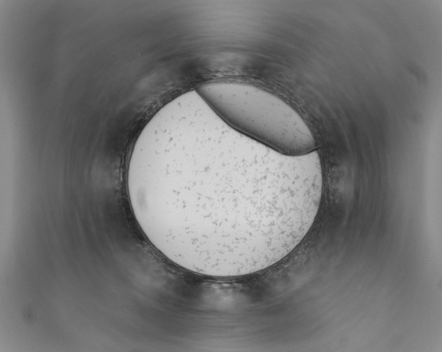 X0000110670372200907101111