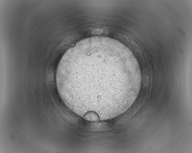 X0000110670375200907101111