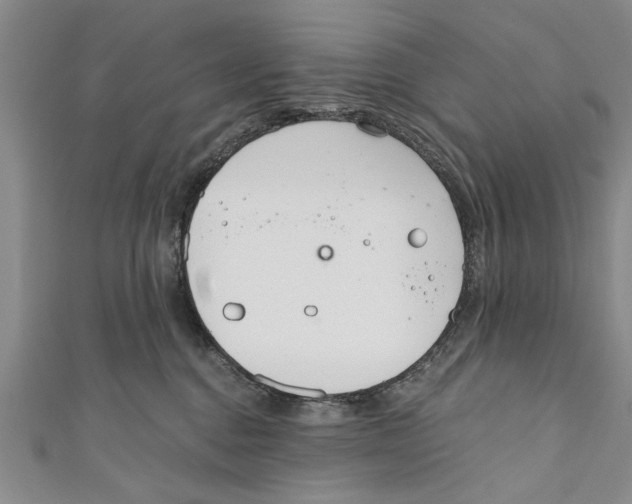 X0000110670376200907101111