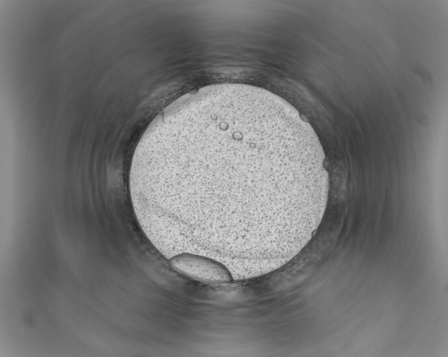 X0000110670377200907101111