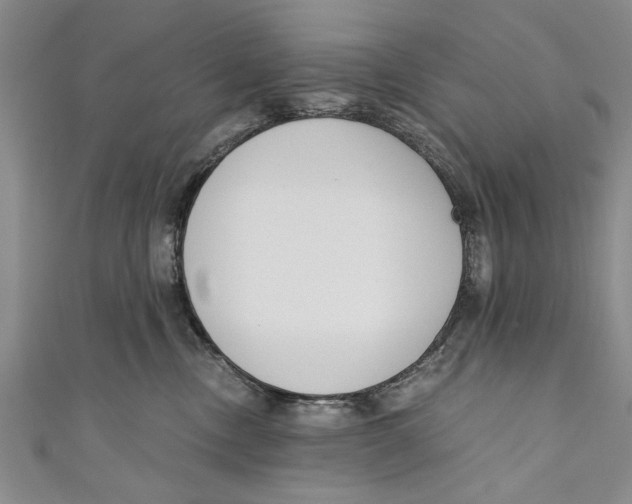 X0000110670378200907101111