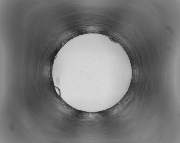 X0000110670379200907101111