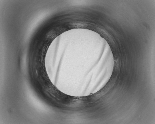 X0000110670381200907101111