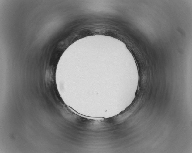 X0000110670382200907101111