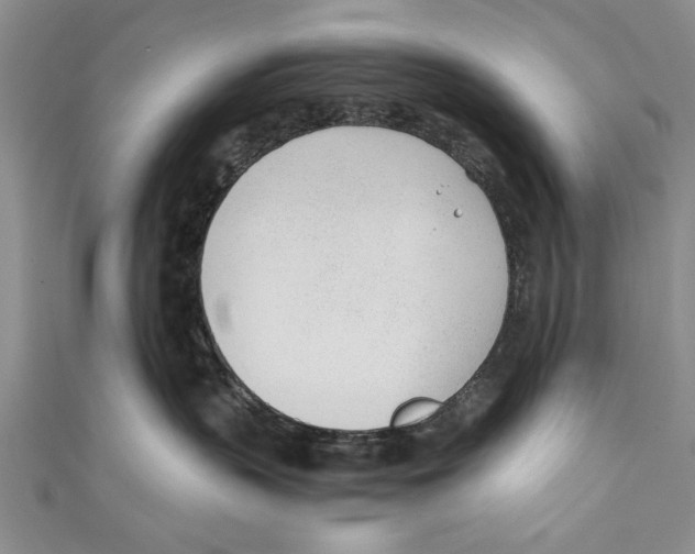 X0000110670383200907101111