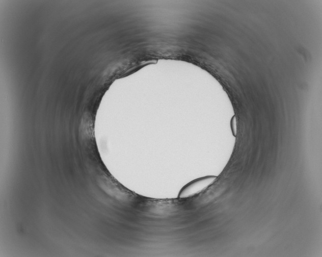 X0000110670384200907101111