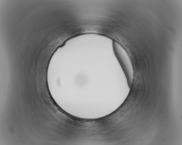 X0000110670385200907101111
