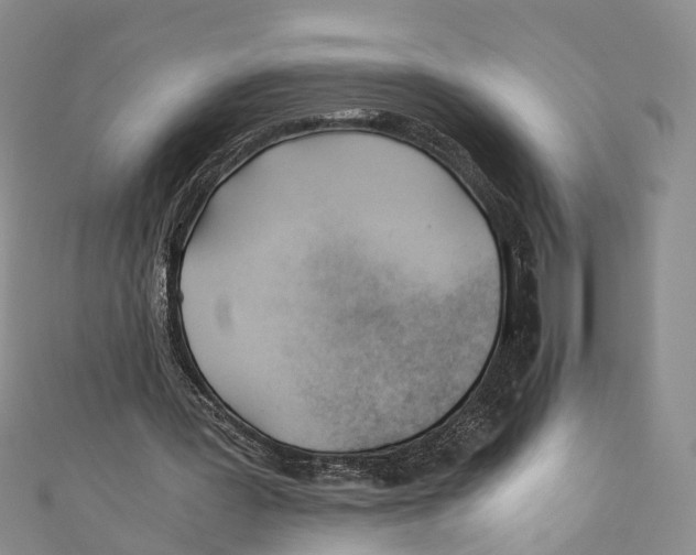 X0000110670387200907101111