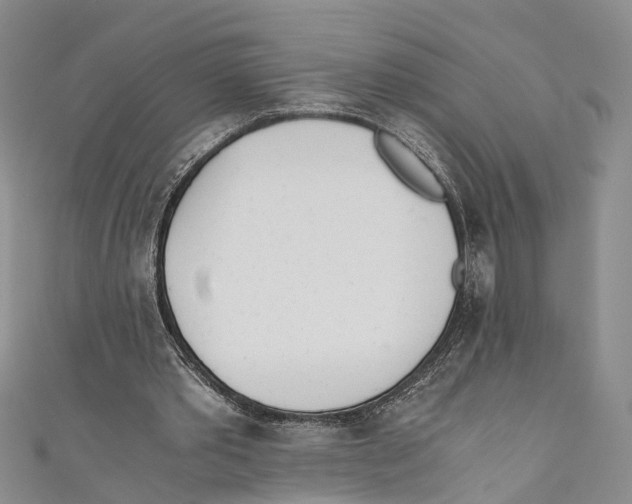 X0000110670389200907101111