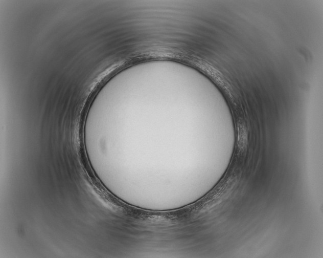 X0000110670390200907101111