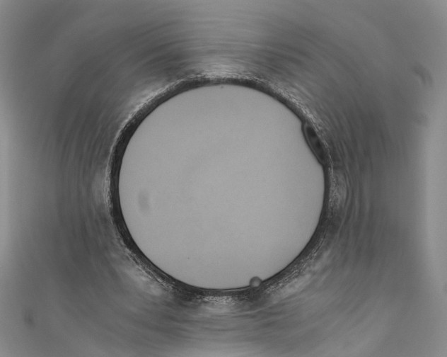 X0000110670391200907101111