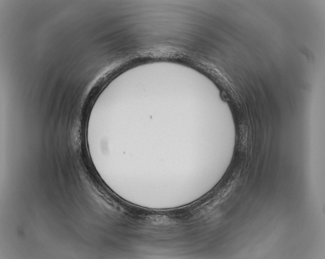 X0000110670392200907101111