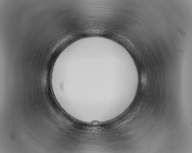 X0000110670396200907101111