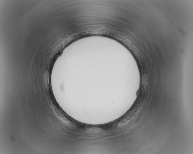 X0000110670397200907101111