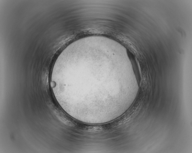 X0000110670398200907101111