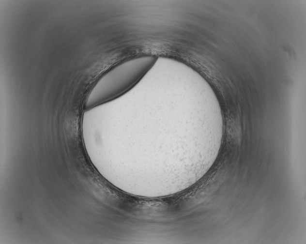 X0000110670401200907101111