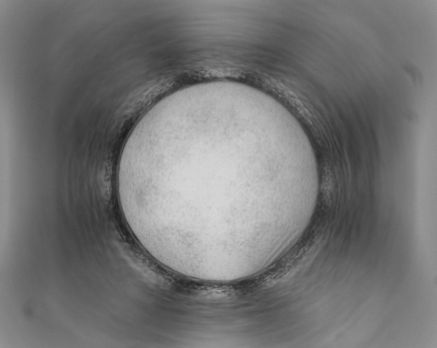 X0000110670402200907101111