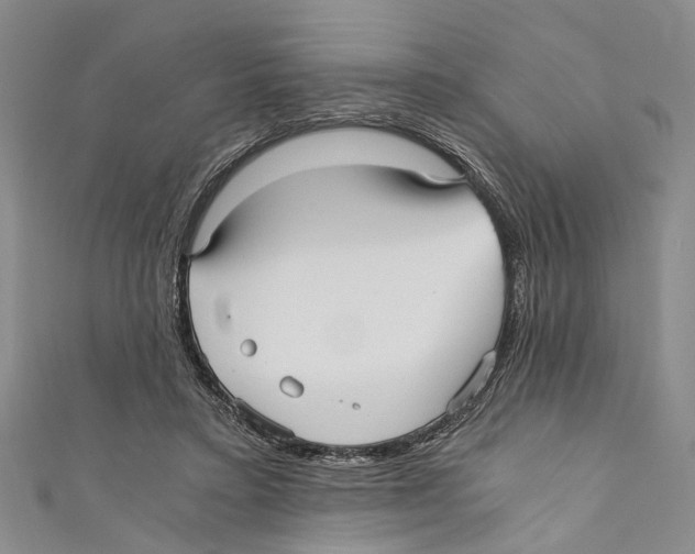 X0000110670403200907101111