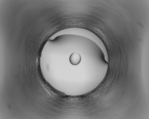 X0000110670405200907101110