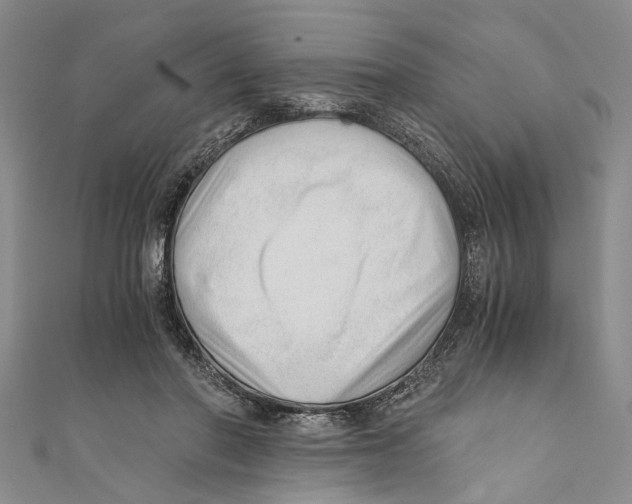 X0000110670406200907101110
