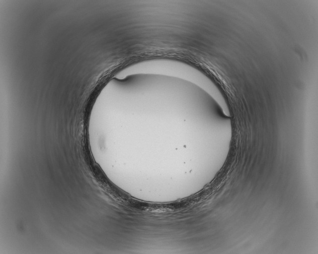 X0000110670407200907101110