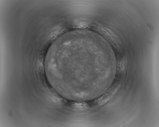 X0000110670415200907101110