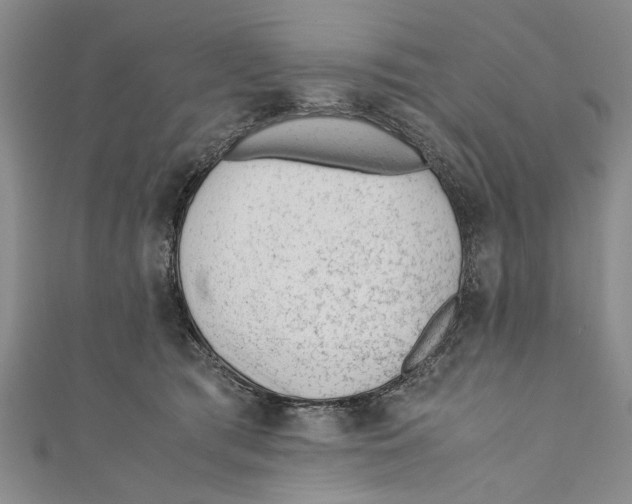 X0000110670417200907101110