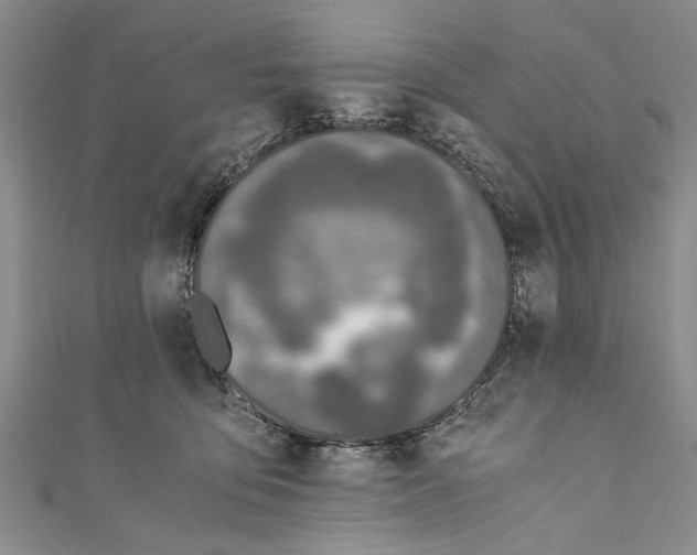 X0000110670419200907101110