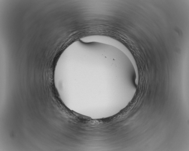 X0000110670421200907101110