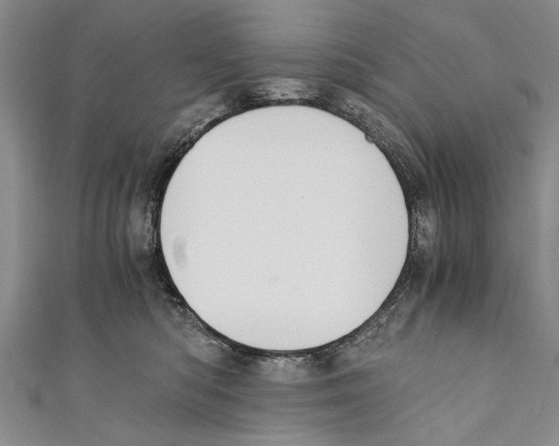 X0000110670422200907101110
