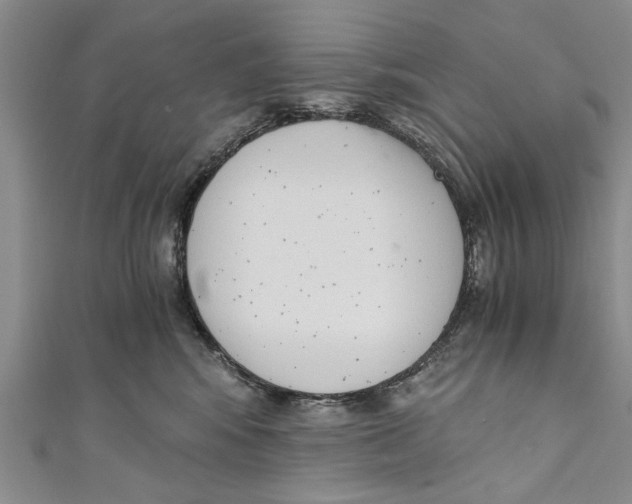 X0000110670424200907101110