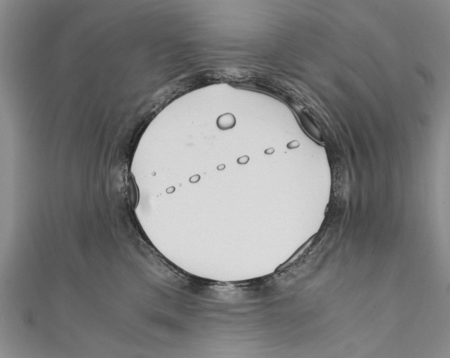 X0000110670425200907101110